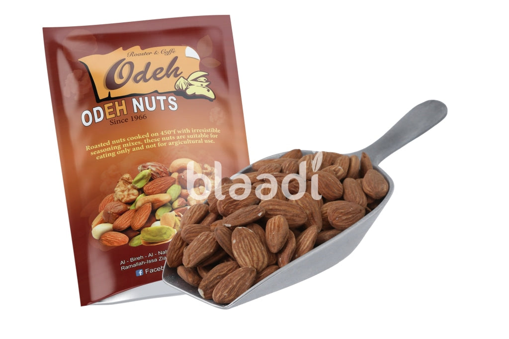 Raw Almonds Big Size Nuts