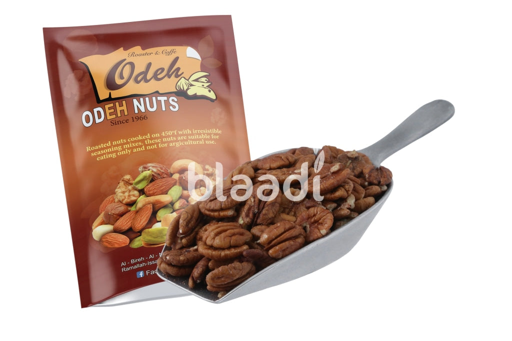 Raw Pecan Nuts
