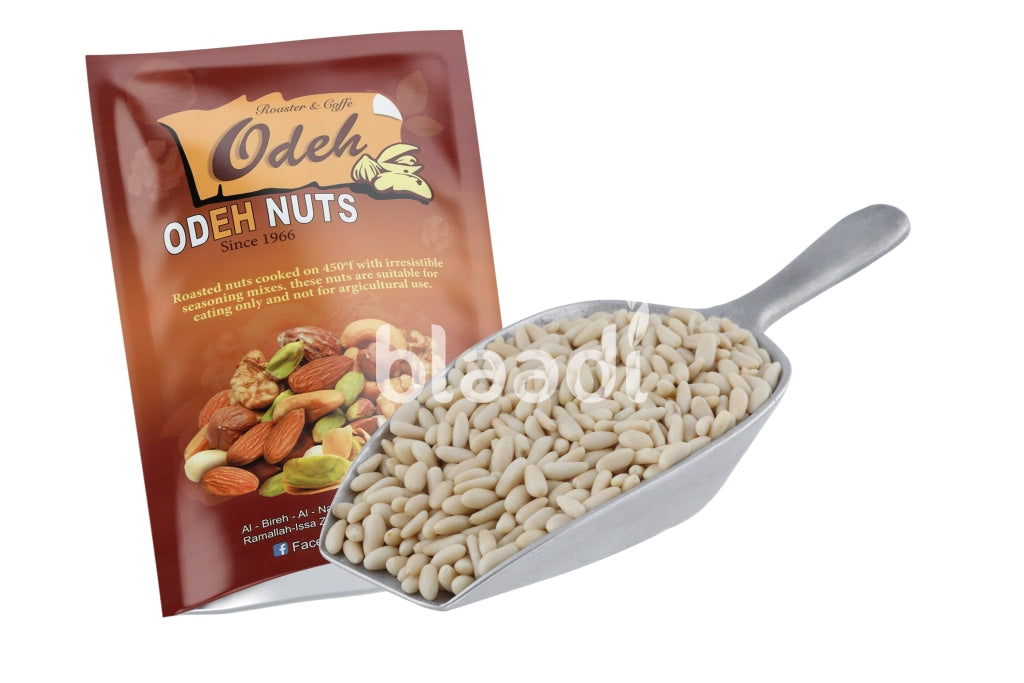 Turkish Raw Pine Seeds Nuts